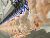 Major Turkish chicken producers hit by trustee appointments, high-level arrests