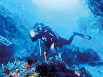 Ayvalık reopens famed Byzantine wreck to divers