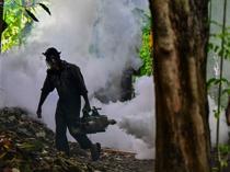 Sri Lanka troops to battle dengue mosquitoes