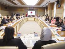 Parliamentary panel report urges tougher penalties for minors