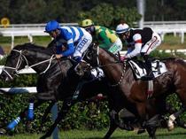 Historic 100th Gazi Race held in Istanbul with record prize purse