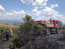 Winter rains delayed Türkiye’s wildfire season but expert warns risk persists