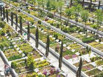Burial space shortage deepens in Istanbul as central cemeteries fill up