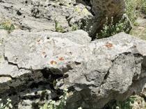 Runic inscription found at Binbir Church site