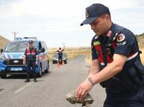 Gendarmerie patrols ‘Tortoise Valley’ to protect wildlife