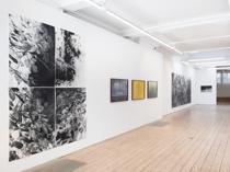 Vision Art Platform presents ‘Botanicals’ in London