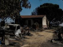 Livestock farmers fear for their livelihoods as wildfires ravage Spain