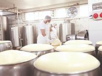 Kars applies for EU geographical indication status for kashar