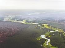 UN lists South Sudan antelope route as heritage in danger