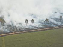 France orders 4,000 more evacuated as fires continue