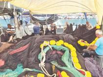 Turkish fishermen eye record bonita season