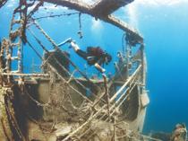 Çeşme eyes dive tourism with rich marine life