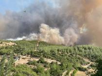 Most wildfire outbreaks under control as wind warnings persist