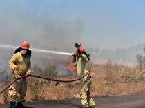 Türkiye probes 29 suspects over forest fires since June