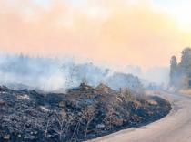 Wildfire fanned by strong winds in Çanakkale under control