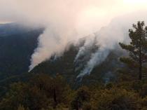 Balıkesir and Malatya wildfires under control