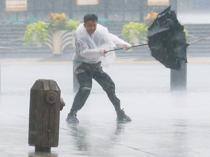 Typhoon Dolphin disrupts travel
