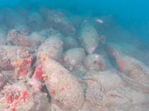 Roman wreck carrying amphorae found off Sicily