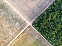 Brazil’s natural areas shrink: Study