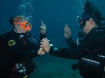 Generations discover underwater world together