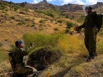 Türkiye identifies 46,490 mines in Hakkari