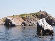 Tavşan Island’s coral model heads to COP31