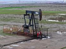 Diyarbakır could produce up to three times as much oil as Gabar: Minister