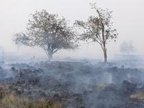 Record Belgium wildfire doubles in size