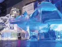 Ice museum offers cool escape from summer