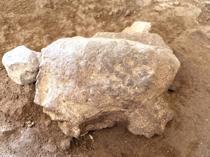 Recently dug turtle figurines expose ancient ritual heritage