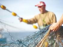Fishermen expect abundant bonito as season opens in Türkiye