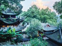 In search of Longjing: The hands behind China’s most revered green tea