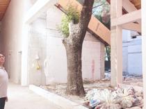 Bursa school design altered to save trees