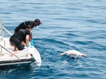 Migrants, rescue ships ‘face threats, harassment’ at sea