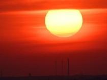 Germany reports record 15,800 heat-related deaths this summer