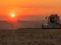 Türkiye’s strong grain stocks shield it from global supply risks: Industry official