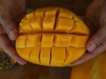 Tropical fruit production expands in Alanya