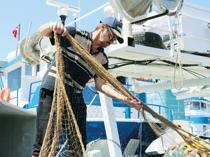 Fishing ban ends as Black Sea fishermen anticipate bumper bonito season