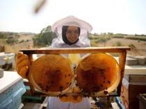 Türkiye aims for top spot in honey production