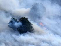 Wildfires, heat waves ‘endanger air quality’