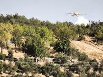 Fire shuts highway, forces evacuations in Muğla