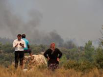 Wildfires rage in Antalya, Adana as homes evacuated