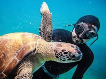 Freediver forms bond with female sea turtle ‘Mahmut’