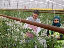 Türkiye to prioritize public investments to drive growth