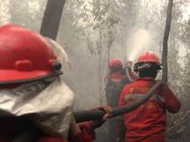 Indonesia struggling to curb forest fires
