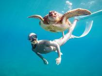 Turkish freediver swims with sea turtles to fight pollution