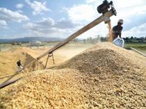 Türkiye steps up regional and global agricultural diplomacy efforts
