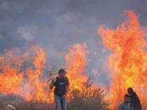 Israeli forces help settlers seize West Bank olive