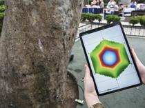 Acoustic tomography to assess hidden decay in Şişli’s century-old trees
