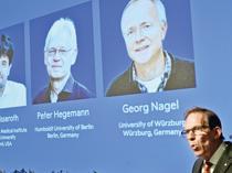 US-German trio wins medicine Nobel for work on optogenetics